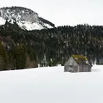 Glitschnerhof Casa de hóspedes Aigen im Ennstal