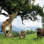 Glitschnerhof Pensjonat Aigen im Ennstal