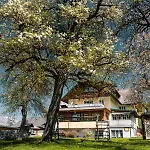 Glitschnerhof Casa de hóspedes Aigen im Ennstal