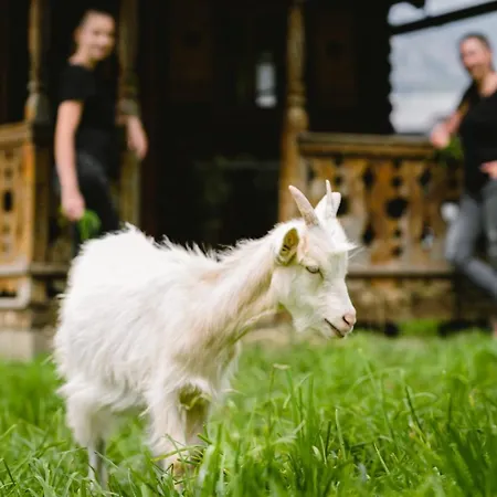 Glitschnerhof 3* Aigen im Ennstal