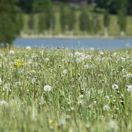 Affittacamere Glitschnerhof