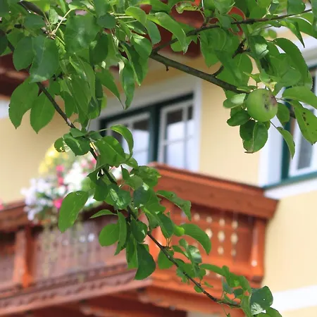 Glitschnerhof Aigen im Ennstal