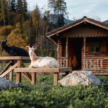 Glitschnerhof 2* Aigen im Ennstal