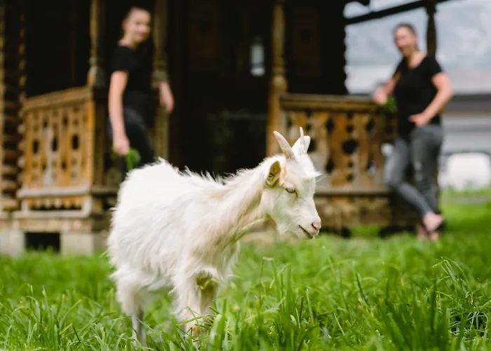 Glitschnerhof 3* آيغن إم إنشتال