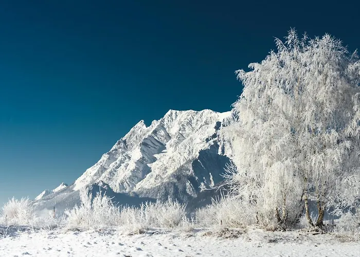 Glitschnerhof 3* آيغن إم إنشتال