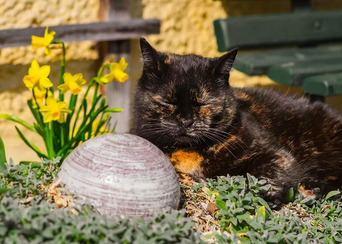 Glitschnerhof بيت ضيافة 3*