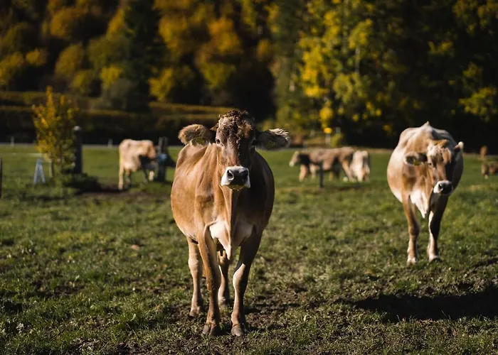 بيت ضيافة Glitschnerhof آيغن إم إنشتال