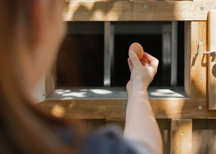 Glitschnerhof Affittacamere Aigen im Ennstal