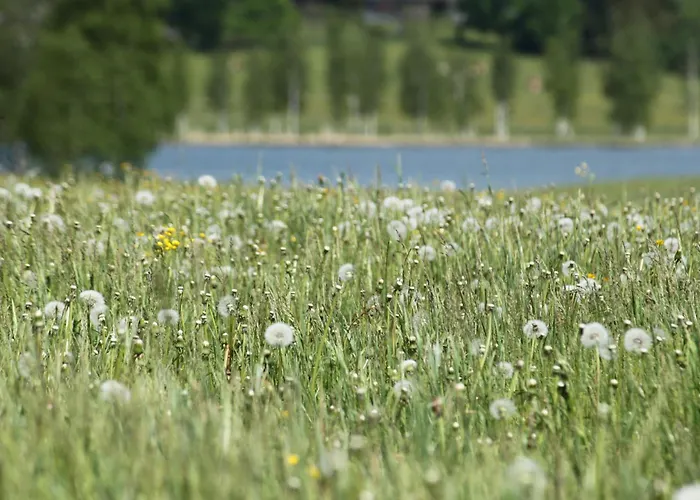 Guest house Glitschnerhof