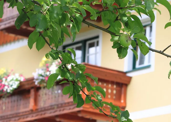 Glitschnerhof Aigen im Ennstal