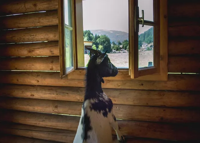 Affittacamere Glitschnerhof