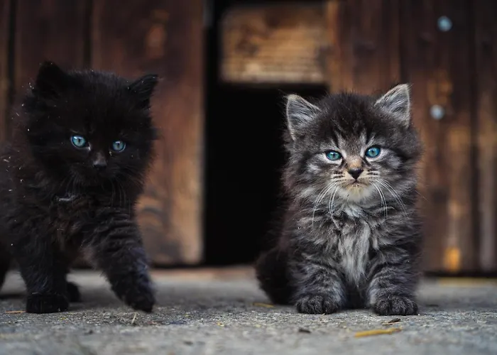 Glitschnerhof آيغن إم إنشتال